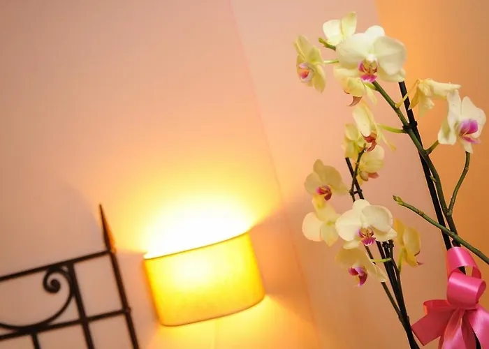 팜스테이 Cerchio